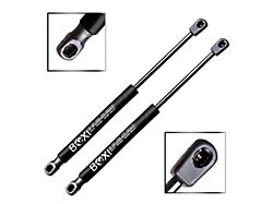 Trunk Lift Support Struts (08-23 Challenger)