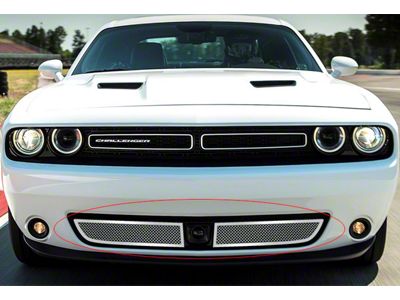 Wire Mesh Lower Grille; Chrome (15-23 Challenger w/ Adaptive Cruise Control, Excluding SRT & Widebody Models)