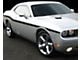 Yellow Jacket Style Mid Body Stripes; Gloss Black (19-23 Challenger)