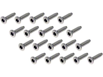 Door Hinge Screws; Stainless Steel (08-23 Charger)