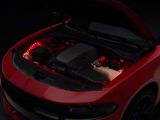 Oracle Engine Bay LED Flexible Strip Lighting Kit; ColorSHIFT (Universal; Some Adaptation May Be Required)