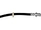 Front Brake Hydraulic Hose; Passenger Side (14-23 RWD Charger w/ 4-Wheel Disc Brakes)