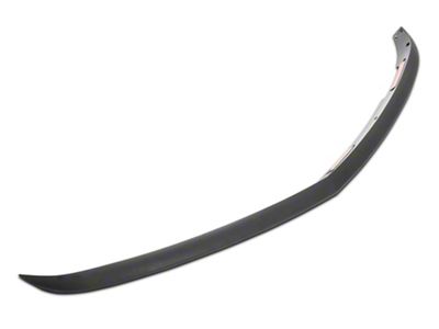 Front Chin Spoiler (06-10 Charger)