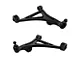 Front Lower Control Arms with Ball Joints (12-18 AWD Charger)
