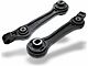 Front Lower Control Arms with Lower Ball Joints (06-10 RWD Charger)