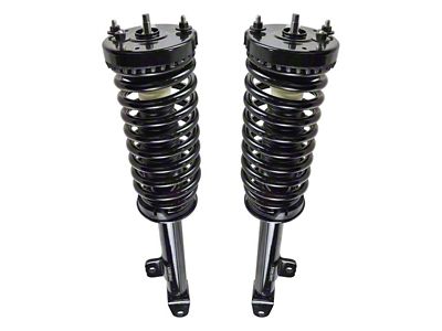 Front Strut and Spring Assemblies (06-10 RWD Charger)