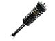 Front Strut and Spring Assemblies (06-10 RWD Charger w/o Sport Suspension)