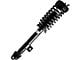 Front Strut and Spring Assembly (06-10 V6 RWD Charger w/o Performance or Self-Leveling Suspension)