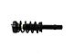 Front Strut and Spring Assembly; Driver Side (12-19 5.7L HEMI AWD Charger)