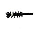 Front Strut and Spring Assembly; Passenger Side (12-19 3.6L AWD Charger)