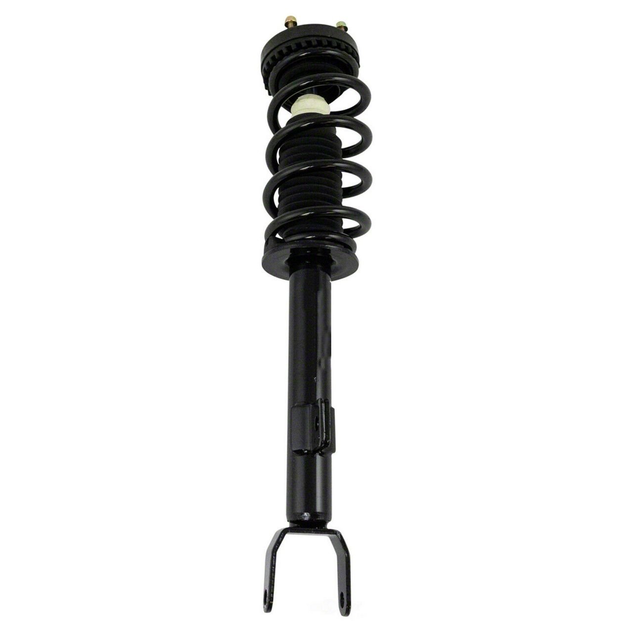 Charger Front Strut and Spring Assembly (12-19 RWD Charger R