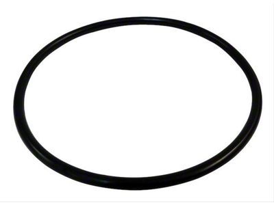 Fuel Module Seal (06-19 Charger)