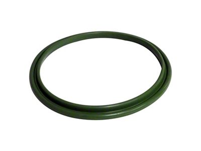 Fuel Pressure Regulator Seal (11-23 Charger)