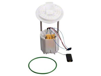 Fuel Pump Module (11-16 3.6L Charger)