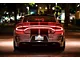 Glow Plate with Hellcat Logo; Extreme Lighting Kit (06-23 Charger)