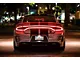 Glow Plate with Hellcat Logo; Red (06-23 Charger)
