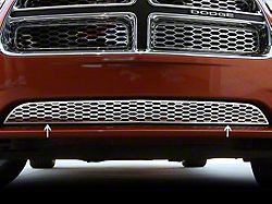 Grille Lower Factory Overlay; Polished (11-14 5.7L HEMI Charger)