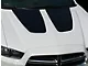 Hood Accent or Blackout Decals Stripes; Gloss Black (11-14 Charger)