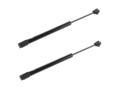 Hood Lift Support Set (06-10 Charger)