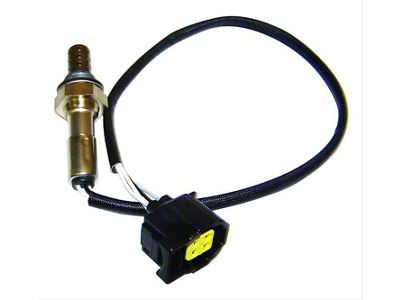 Oxygen Sensor; Right Rear (06-10 Charger)