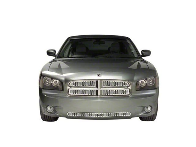 Putco Punch Design Lower Bumper Grille Insert; Polished (06-10 Charger)