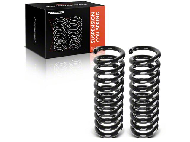 Rear Coil Springs (06-10 RWD Charger)