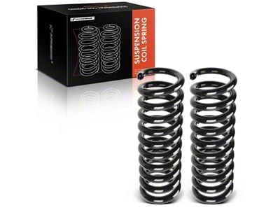 Rear Coil Springs (06-10 RWD Charger)