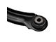 Rear Control Arm (06-19 Charger)
