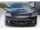 Sabretooth Tooth Lower Grille; Brushed (15-19 Charger Scat Pack, SRT Hellcat)