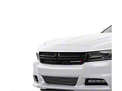 Stainless Steel Billet Lower Grille; Black (16-18 Charger w/o Adaptive Cruise Control, Excluding Daytona, R/T Scat Pack & SRT; 19-23 Charger SXT w/o Adaptive Cruise Control)