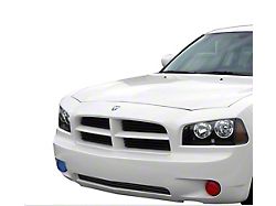 Stainless Steel Billet Lower Grille; Black (06-10 Charger, Excluding SRT8)