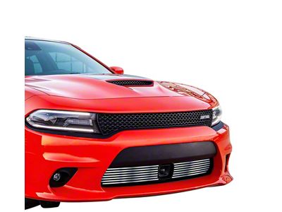 Stainless Steel Billet Lower Grille; Silver Hairline (15-18 Charger Daytona, R/T Scat Pack, SRT 392, SRT Hellcat; 19-23 Charger GT, R/T)