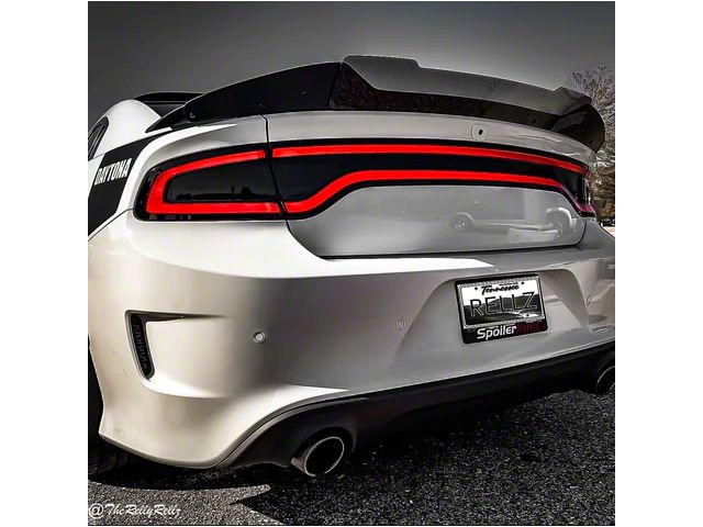 Stealth Wicker Bill; Polished (15-19 Charger SRT Hellcat; 15-23 Charger Daytona, Scat Pack, SRT 392; 20-23 Charger Widebody, Excluding SRT Hellcat)