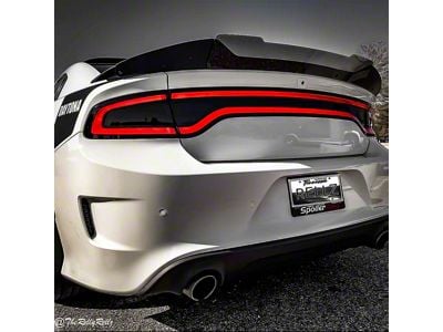 Stealth Wicker Bill; Polished (15-19 Charger SRT Hellcat; 15-23 Charger Daytona, Scat Pack, SRT 392; 20-23 Charger Widebody, Excluding SRT Hellcat)