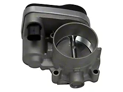 Throttle Body Assembly (06-10 V6 Charger)
