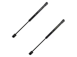 Trunk Lift Support Set (06-08 Charger w/o Spoiler Trunk)