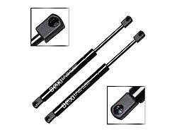 Trunk Lift Support Struts (06-10 Charger)