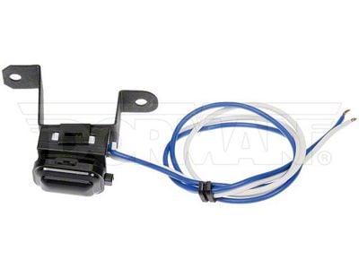 Trunk Release Button (15-23 Charger)