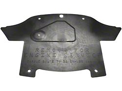 Undercar Splash Shield (06-14 Charger)
