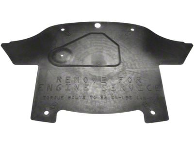 Undercar Splash Shield (06-14 Charger)