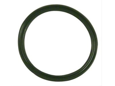 Vapor Canister Seal; Evaporative System (07-19 Charger)