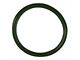 Vapor Canister Seal; Evaporative System (07-19 Charger)