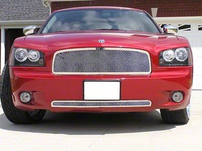 Wire Mesh Upper Grille; Chrome (06-10 Charger)