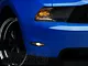 Side Marker Lights; Chrome (10-14 Mustang GT, V6)