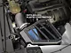 C&L Cold Air Intake (15-17 Mustang EcoBoost)