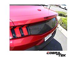 Decklid Panel; Dry Carbon Fiber (24-25 Mustang)