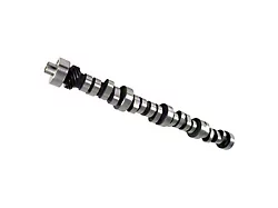 Comp Cams Magnum 220/220 Hydraulic Roller Camshaft (85-95 5.0L Mustang)