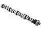 Comp Cams Stage 1 Xtreme Energy Computer Controlled 212/218 Hydraulic Roller Camshaft (86-95 5.0L Mustang)