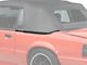 OPR Convertible Top Boot Well Weatherstripping; Driver Side (87-93 Mustang Convertible)
