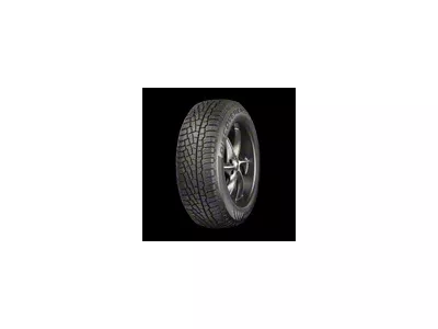 Cooper Discoverer True North Tire (225/65R16)